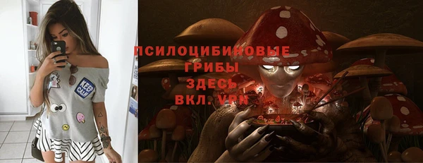 скорость Новодвинск