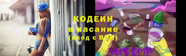 мдпв Новозыбков