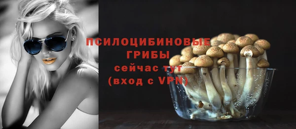 скорость Новодвинск