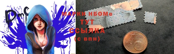 мдпв Новозыбков