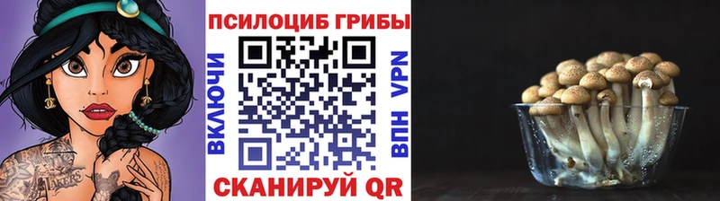 даркнет сайт  MEGA зеркало  Псилоцибиновые грибы GOLDEN TEACHER  Иннополис 